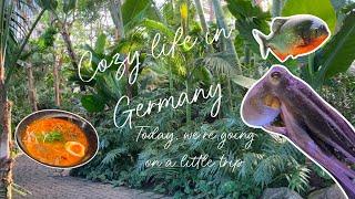 Cozy life in Germany | A visit to the park and the aquarium