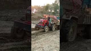 Eicher tractor 312 JCB loading #short #shorts #tractorjcb