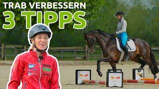 Top 3 Tipps für eine bessere Trabarbeit von Ingrid Klimke | wehorse