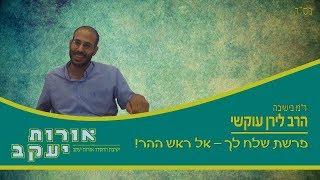 הרב לירן עוקשי - פרשת שלח לך - אל ראש ההר!