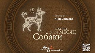 Бацзы: прогноз на месяц Собаки (октябрь) 2024 года