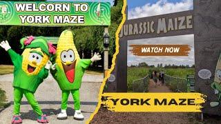 York Maze, York, UK (August 2024).