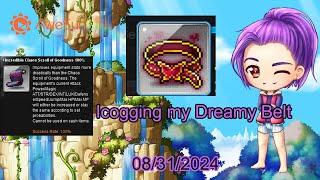 (GMS Bera) Icogging my Dreamy Belt