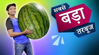 सबसे बड़ा तरबूज World's Biggest Watermelon | Hindi Comedy | Pakau TV Channel