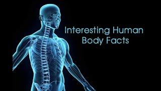 40 Unreal Facts about Human Body#facts #science