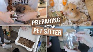 Preparing For a Pet Sitter