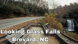 This waterfall survived Hurricane Helene?! - Looking Glass Falls | Brevard, NC