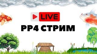 Поищем трофы, позакрываем картинки РР4 Стрим / Русская рыбалка 4 стрим