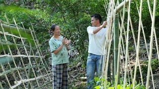 Busy manager gardening with single mother preparing to give birth | Ly Tieu Nhi