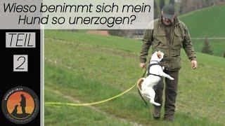 Hundeerziehung „Bindung“ Geheimrezept nicht nur für den Abruf | Hundeschule U.B.