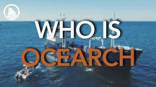 Who is OCEARCH? Humble Beginnings to Global Impact (Pt. 1)