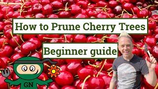 How to prune a cherry tree: AVOID this tree pruning mistake!!!