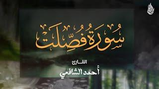 Surah Fussilat - Ahmed Alshafey | سورة فصلت القارئ أحمد الشافعي