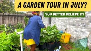 Early Summer Garden Tour 2022 | FULL Tour with plant names| Growing Tropical African Vegetables