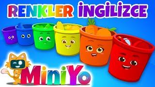 Renkler Şarkısı İngilizce | Miniyo İngilizce Çocuk Şarkıları