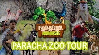  Paracha Zoo Tour |  Exploring Paracha Zoo's Exotic Animals  | SR Breeding Farm 