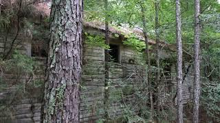 Northern Anson County, North Carolina, 8-4-2019