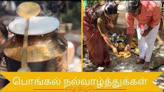 கிராமத்து வீட்டு பொங்கல் | Pongal 2023 Vlog | Pongal Celebrations | Family Vlog