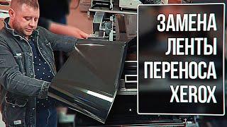 Xerox Versant 180 Замена ленты переноса