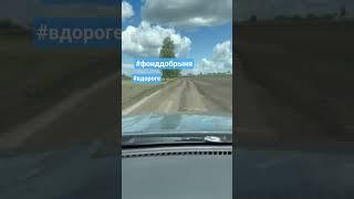 #фонддобрыня #вдороге #крепкоеслово  #своихнебросаем #zov #zародину