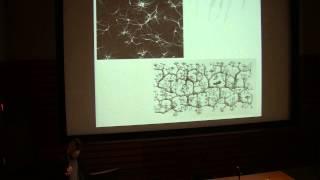 Re(de)composition: Mycelial Networks and Contemporary Art