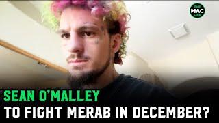Sean O'Malley on Conor McGregor beef, Jones or Islam P4P and Merab in December