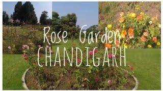 Rose Garden Chandigarh I रोज गार्डेन चंडीगढ़ I Must Watch Tourist Place I Chandigarh Ka Rose Garden