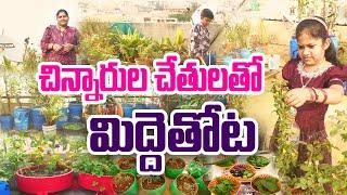 పిల్లలు పెంచుతున్న స్పెషల్ గార్డెన్ | Children Terrace Garden | Sumalatha