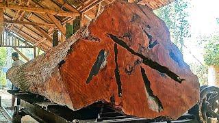 shocking results when sawing giant mahogany logs, losses of up to tens of millions