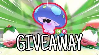 [CLOSED] ADOPT ME GIVEAWAY! (NR MUSHROOM FRIEND)