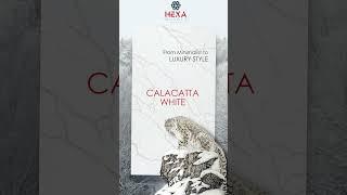 Calacatta White Quartz Slab -  | Quartz Slab Manufacturer in India - Hexa Quartz