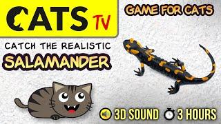 GAME FOR CATS - Realistic Salamander  3 HOURS [CATS TV]