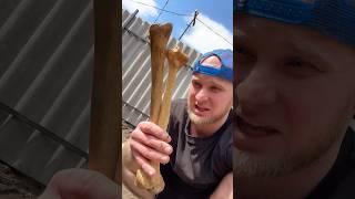 Бабушкин ОГОРОД (смешное видео, приколы, юмор, поржать, прикол)