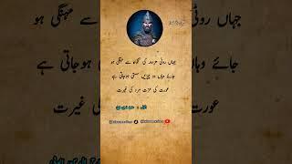 salahuddin ayyubi best quotes in urdu #urduquotes #aqwalezareen #sad_quotes #salahuddinayubi