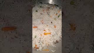 Veg fried rice recipe | Quick Recipes #shorts #vegfriedrice #trending #cooking #viralvideo