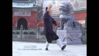 Wudang Qigong  (武当山氣功)