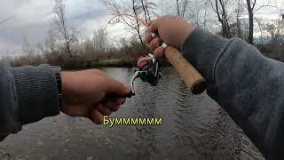 Как да имаме повече успех при риболов на зимни кефали!#fishing #chub #river