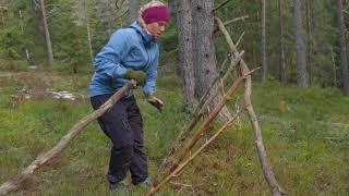 Lag en hytte i skogen!