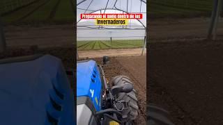 Preparando el Suelo en Imvernaderos #mundoagronomico #invernaderos #suelo #agro #soil #solo #tractor