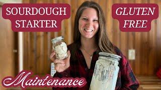 Maintaining A Healthy Gluten Free Sourdough Starter | Feedings and Long Term Storage