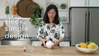 NEW! Aroma Globe Diffuser - Limited Time Only!