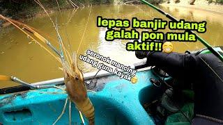 SERONOK MANCING UDANG GALAH TRIP KALI NI GENGG ... KAYAK FISHING MALAYSIA ...# VLOG 30