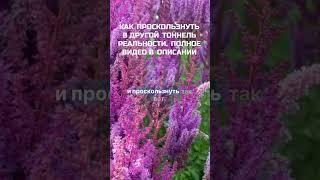 ВОЗДУШНОЕ СОЗНАНИЕ