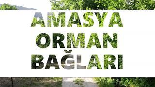 Havadan Amasya Orman Bağları Manzarası