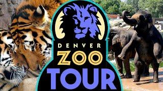 Denver Zoo Tour