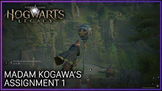 Hogwarts Legacy | Madam Kogawa's Assignment 1