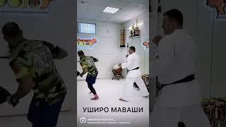 Контратака после Уширо Маваши. Александр Ерёменко и Чемпион Мира – Алехандро Наварро (Испания).