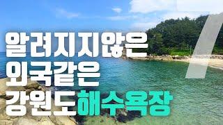 외국휴양지 안 부러운 동해의 보석 같은 해수욕장 7곳을 소개합니다 !