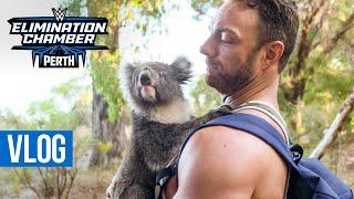 WWE Superstars hug koalas: Elimination Chamber 2024 Vlog