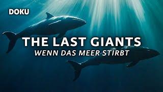 The Last Giants – Wenn das Meer stirbt (Waldoku | Meeresdoku | Deutsch ganze Doku)